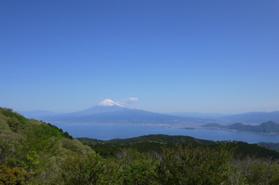 富士山と沼津の街