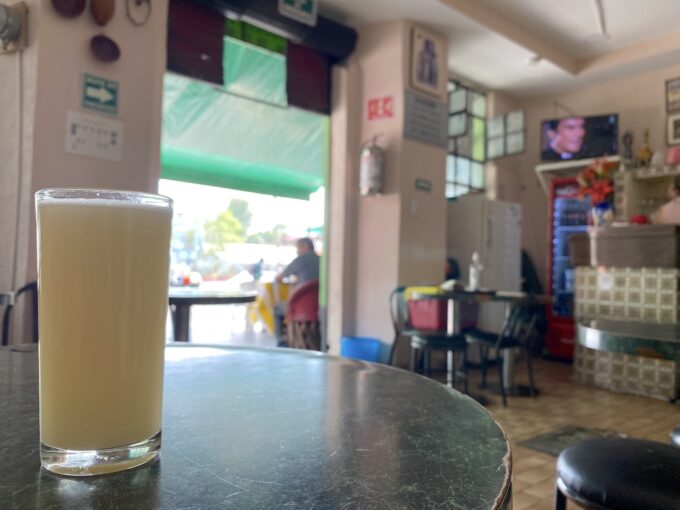 パイン味のプルケ